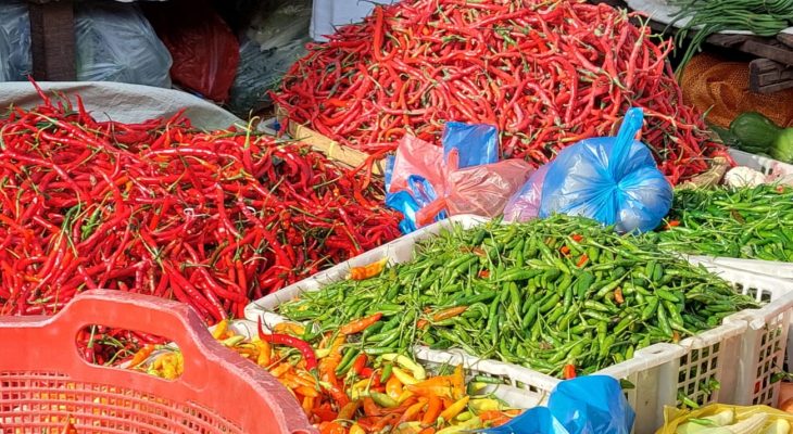Harga Cabai di Medan Kembali Normal Pascaiduladha, Daging Ayam dan Sapi Stabil