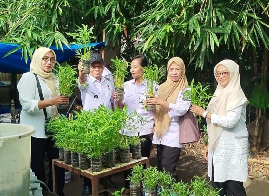 Lurah Teladan Barat Panen Kangkung dan Lele Bersama Warga, Dorong Pemanfaatan Lahan Sempit