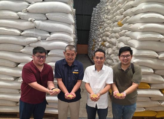 BULOG Sumut Mulai Salurkan 66 Ton Jagung SPHP untuk Peternak Ayam Petelur