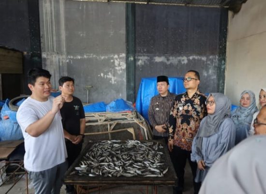 Plh Wali Kota Tanjungbalai Kunjungi Para Pelaku Usaha Kecamatan Teluk Nibung Dukung Program UP2K PKK