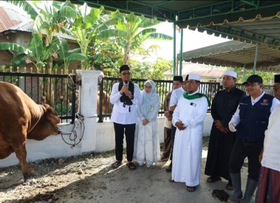 Pemerintah Kota Tanjungbalai Serahkan Bantuan Sapi Kurban Presiden Prabowo di Masjid As Salamah