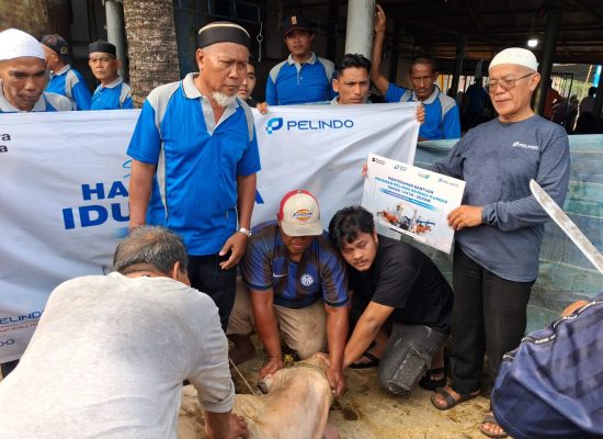 Pelindo Regional 1 Salurkan Hewan Qurban ke Masjid Sekitar Pelabuhan