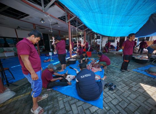 PLN UID Sumatera Utara Tebar Kepedulian Melalui Kurban 38 Sapi dan 10 Kambing