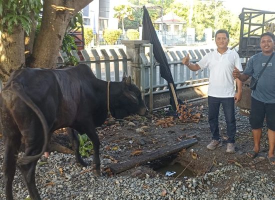 BNCT dan Bea Cukai Belawan Kolaborasi Salurkan Hewan Kurban untuk Masyarakat