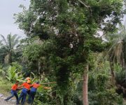 Hadapi Musim Hujan, KAI Sumut Pangkas Pohon di 330 Titik Jalur Kereta