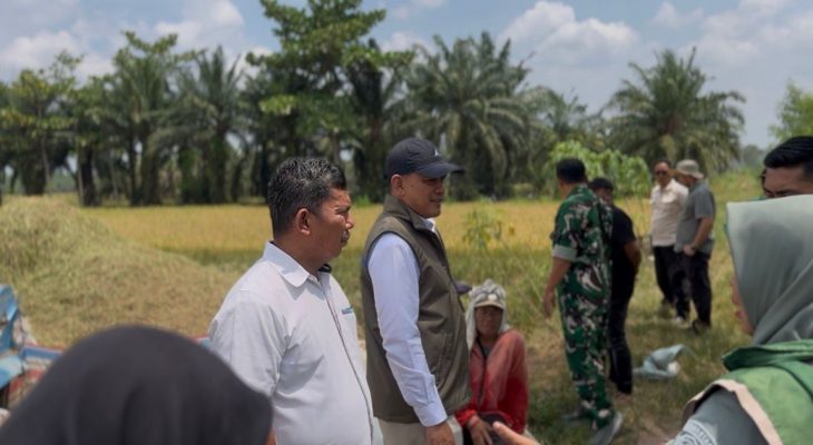 Rekor Baru BULOG! Serapan Gabah-Beras Tembus 3 Juta Ton dalam Enam Bulan