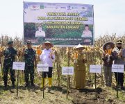 OJK Perkuat Akses Pembiayaan Petani Jagung di Langkat, Penyaluran KUR Tembus Rp1,375 Miliar
