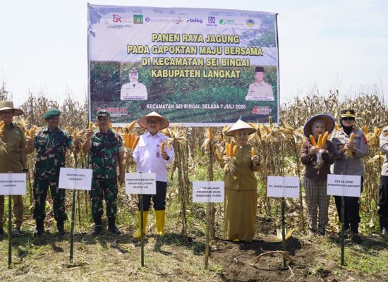 OJK Perkuat Akses Pembiayaan Petani Jagung di Langkat, Penyaluran KUR Tembus Rp1,375 Miliar