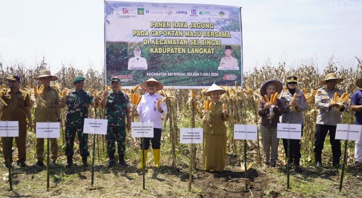OJK Perkuat Akses Pembiayaan Petani Jagung di Langkat, Penyaluran KUR Tembus Rp1,375 Miliar