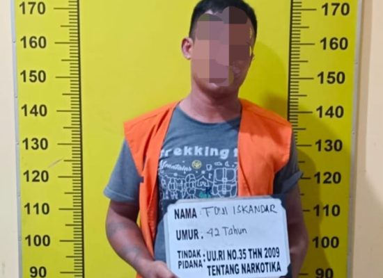 Pengedar Ganja Galang Ditangkap Polisi