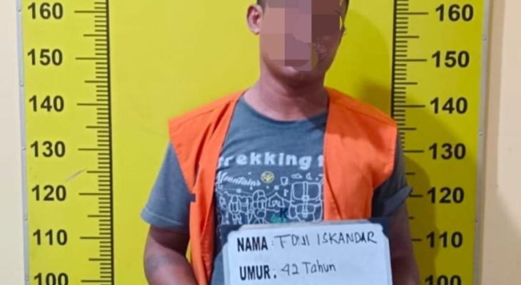Pengedar Ganja Galang Ditangkap Polisi