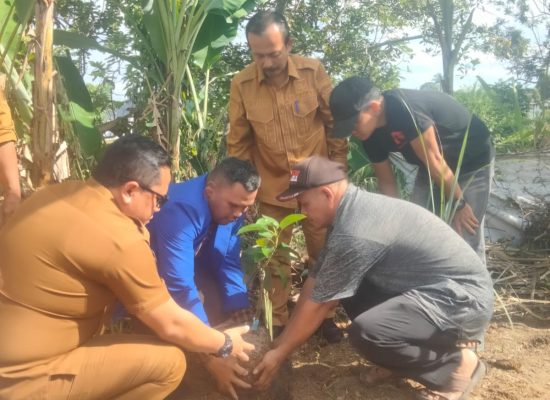 Gerakan 2.000 Pohon GAMKI Dimulai dari Siantar Timur