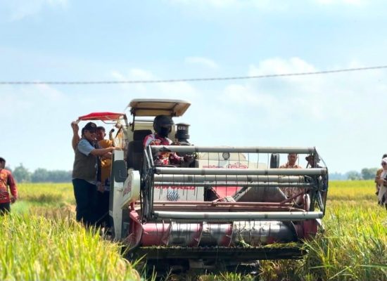 BULOG Cetak Rekor Pengadaan Beras di Atas 4 Juta Ton, BULOG Sumut Optimistis Capai Target Penyerapan GKP 2026